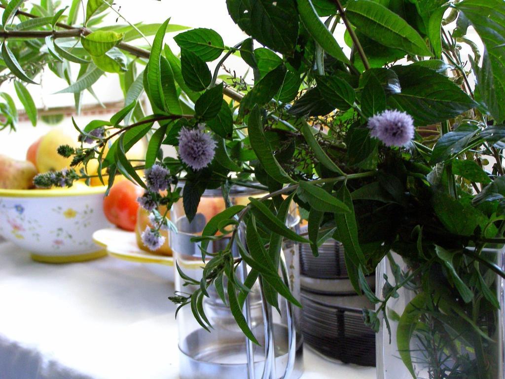 Cozy Holiday Home In Porto Do Son Near Beach Portosin Buitenkant foto